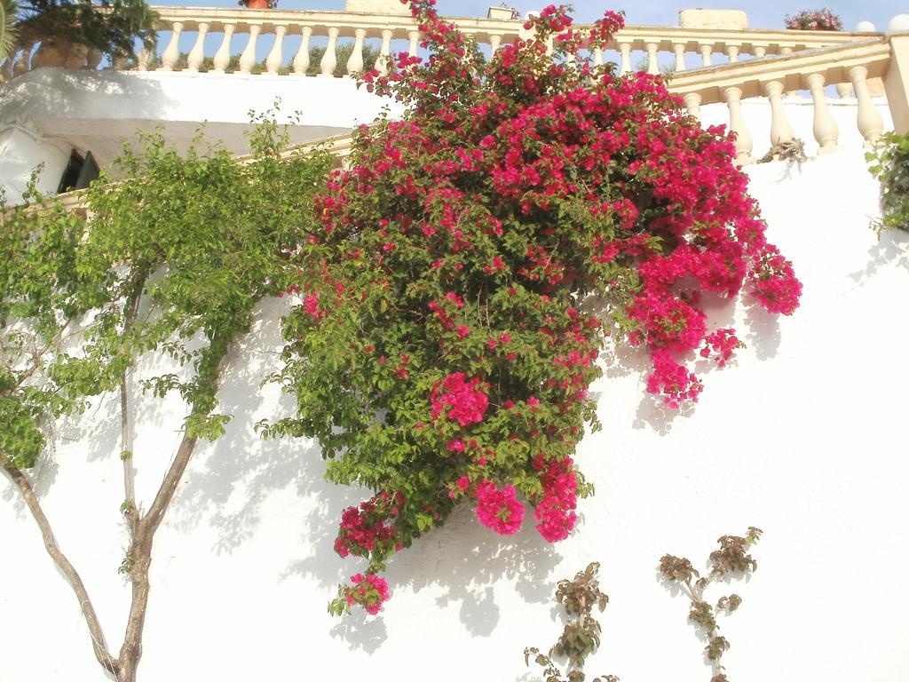 Oniro Villas Corfu Island Exterior photo